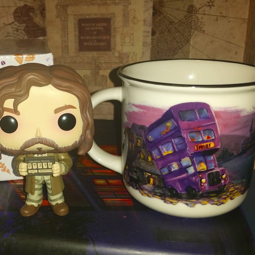 NEW- NEVER USED Harry Potter Cara Kozik Mug- Owlcrate Exclusive Year 3